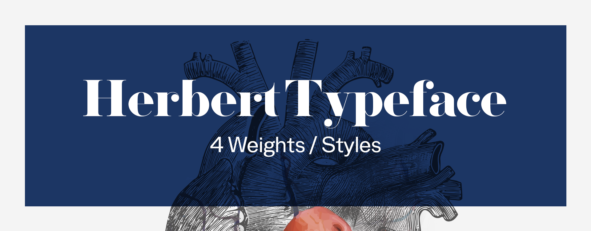 Herbert Typeface