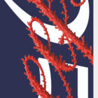 Dettaglio ravvicinato poster Reefs 25% by Skill®, texture corallo e stampa